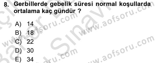 Laboratuvar Hayvanlarını Yetiştirme ve Sağlığı Dersi 2015 - 2016 Yılı (Final) Dönem Sonu Sınav Soruları 8. Soru