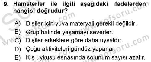 Laboratuvar Hayvanlarını Yetiştirme ve Sağlığı Dersi 2015 - 2016 Yılı (Final) Dönem Sonu Sınav Soruları 9. Soru