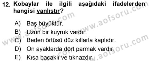 Laboratuvar Hayvanlarını Yetiştirme ve Sağlığı Dersi 2015 - 2016 Yılı Tek Ders Sınavı 12. Soru