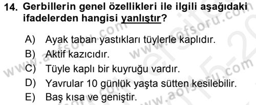 Laboratuvar Hayvanlarını Yetiştirme ve Sağlığı Dersi 2015 - 2016 Yılı Tek Ders Sınavı 14. Soru