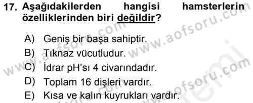 Laboratuvar Hayvanlarını Yetiştirme ve Sağlığı Dersi 2015 - 2016 Yılı Tek Ders Sınavı 17. Soru