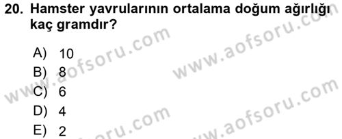 Laboratuvar Hayvanlarını Yetiştirme ve Sağlığı Dersi 2015 - 2016 Yılı Tek Ders Sınavı 20. Soru