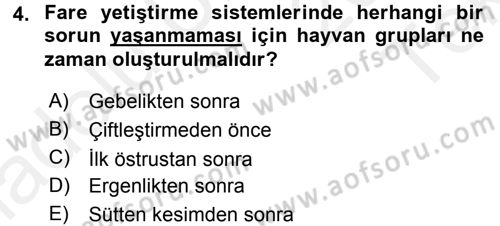 Laboratuvar Hayvanlarını Yetiştirme ve Sağlığı Dersi 2015 - 2016 Yılı Tek Ders Sınavı 4. Soru