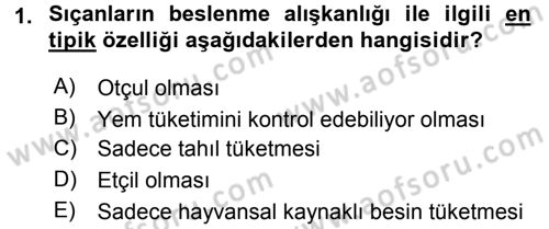 Laboratuvar Hayvanlarını Yetiştirme ve Sağlığı Dersi 2016 - 2017 Yılı 3 Ders Sınav Soruları 1. Soru