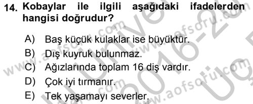 Laboratuvar Hayvanlarını Yetiştirme ve Sağlığı Dersi 2016 - 2017 Yılı 3 Ders Sınav Soruları 14. Soru