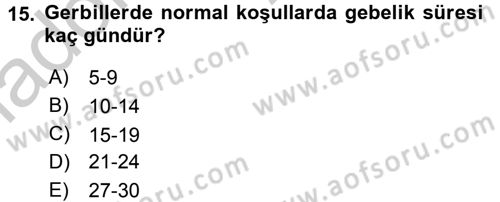Laboratuvar Hayvanlarını Yetiştirme ve Sağlığı Dersi 2016 - 2017 Yılı 3 Ders Sınav Soruları 15. Soru