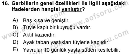 Laboratuvar Hayvanlarını Yetiştirme ve Sağlığı Dersi 2016 - 2017 Yılı 3 Ders Sınav Soruları 16. Soru