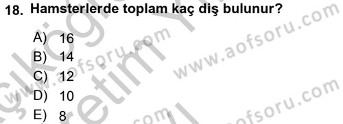 Laboratuvar Hayvanlarını Yetiştirme ve Sağlığı Dersi 2016 - 2017 Yılı 3 Ders Sınav Soruları 18. Soru
