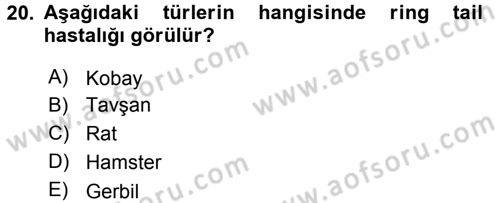 Laboratuvar Hayvanlarını Yetiştirme ve Sağlığı Dersi 2016 - 2017 Yılı 3 Ders Sınav Soruları 20. Soru