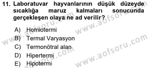 Laboratuvar Hayvanlarını Yetiştirme ve Sağlığı Dersi 2016 - 2017 Yılı (Vize) Ara Sınav Soruları 11. Soru