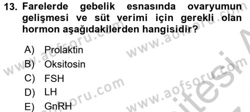 Laboratuvar Hayvanlarını Yetiştirme ve Sağlığı Dersi 2016 - 2017 Yılı (Vize) Ara Sınav Soruları 13. Soru