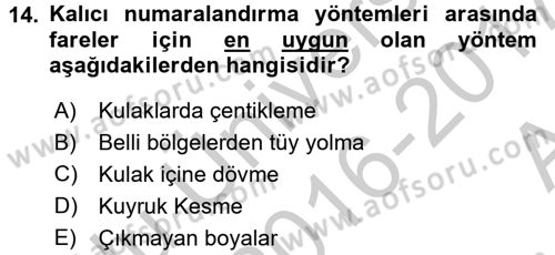 Laboratuvar Hayvanlarını Yetiştirme ve Sağlığı Dersi 2016 - 2017 Yılı (Vize) Ara Sınav Soruları 14. Soru