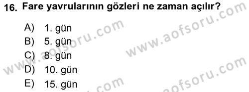 Laboratuvar Hayvanlarını Yetiştirme ve Sağlığı Dersi 2016 - 2017 Yılı (Vize) Ara Sınav Soruları 16. Soru