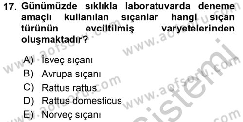 Laboratuvar Hayvanlarını Yetiştirme ve Sağlığı Dersi 2016 - 2017 Yılı (Vize) Ara Sınav Soruları 17. Soru
