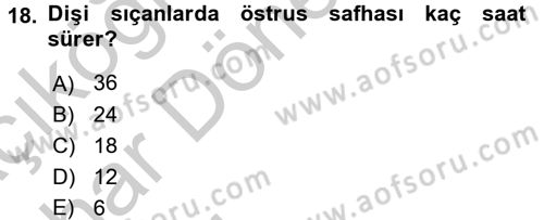 Laboratuvar Hayvanlarını Yetiştirme ve Sağlığı Dersi 2016 - 2017 Yılı (Vize) Ara Sınav Soruları 18. Soru