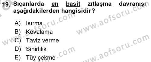 Laboratuvar Hayvanlarını Yetiştirme ve Sağlığı Dersi 2016 - 2017 Yılı (Vize) Ara Sınav Soruları 19. Soru
