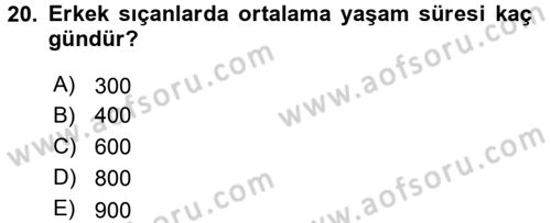 Laboratuvar Hayvanlarını Yetiştirme ve Sağlığı Dersi 2016 - 2017 Yılı (Vize) Ara Sınav Soruları 20. Soru