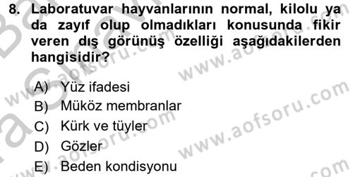 Laboratuvar Hayvanlarını Yetiştirme ve Sağlığı Dersi 2016 - 2017 Yılı (Vize) Ara Sınav Soruları 8. Soru