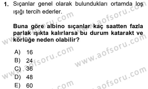 Laboratuvar Hayvanlarını Yetiştirme ve Sağlığı Dersi 2016 - 2017 Yılı (Final) Dönem Sonu Sınavı 1. Soru