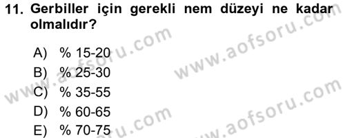 Laboratuvar Hayvanlarını Yetiştirme ve Sağlığı Dersi 2016 - 2017 Yılı (Final) Dönem Sonu Sınavı 11. Soru