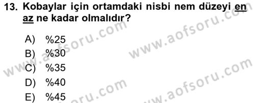 Laboratuvar Hayvanlarını Yetiştirme ve Sağlığı Dersi 2016 - 2017 Yılı (Final) Dönem Sonu Sınavı 13. Soru