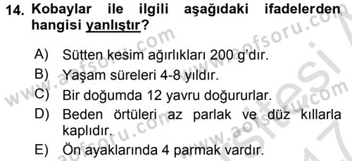 Laboratuvar Hayvanlarını Yetiştirme ve Sağlığı Dersi 2016 - 2017 Yılı (Final) Dönem Sonu Sınavı 14. Soru