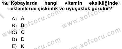 Laboratuvar Hayvanlarını Yetiştirme ve Sağlığı Dersi 2016 - 2017 Yılı (Final) Dönem Sonu Sınavı 19. Soru