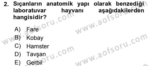 Laboratuvar Hayvanlarını Yetiştirme ve Sağlığı Dersi 2016 - 2017 Yılı (Final) Dönem Sonu Sınavı 2. Soru