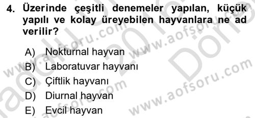 Laboratuvar Hayvanlarını Yetiştirme ve Sağlığı Dersi 2016 - 2017 Yılı (Final) Dönem Sonu Sınavı 4. Soru