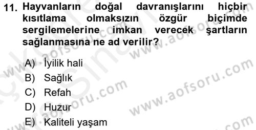 Laboratuvar Hayvanlarını Yetiştirme ve Sağlığı Dersi 2017 - 2018 Yılı 3 Ders Sınav Soruları 11. Soru