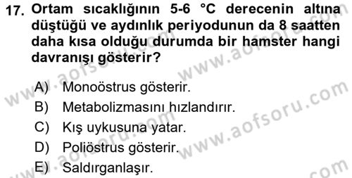 Laboratuvar Hayvanlarını Yetiştirme ve Sağlığı Dersi 2017 - 2018 Yılı 3 Ders Sınav Soruları 17. Soru