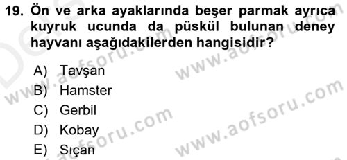 Laboratuvar Hayvanlarını Yetiştirme ve Sağlığı Dersi 2017 - 2018 Yılı 3 Ders Sınav Soruları 19. Soru