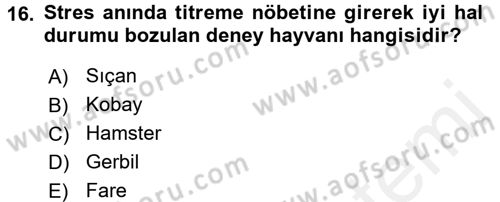 Laboratuvar Hayvanlarını Yetiştirme ve Sağlığı Dersi 2017 - 2018 Yılı (Vize) Ara Sınavı 16. Soru