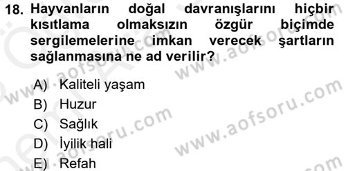 Laboratuvar Hayvanlarını Yetiştirme ve Sağlığı Dersi 2017 - 2018 Yılı (Vize) Ara Sınavı 18. Soru