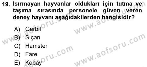 Laboratuvar Hayvanlarını Yetiştirme ve Sağlığı Dersi 2017 - 2018 Yılı (Vize) Ara Sınavı 19. Soru