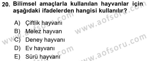 Laboratuvar Hayvanlarını Yetiştirme ve Sağlığı Dersi 2017 - 2018 Yılı (Vize) Ara Sınavı 20. Soru