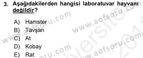 Laboratuvar Hayvanlarını Yetiştirme ve Sağlığı Dersi 2017 - 2018 Yılı (Vize) Ara Sınavı 3. Soru