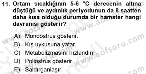 Laboratuvar Hayvanlarını Yetiştirme ve Sağlığı Dersi 2017 - 2018 Yılı (Final) Dönem Sonu Sınav Soruları 11. Soru