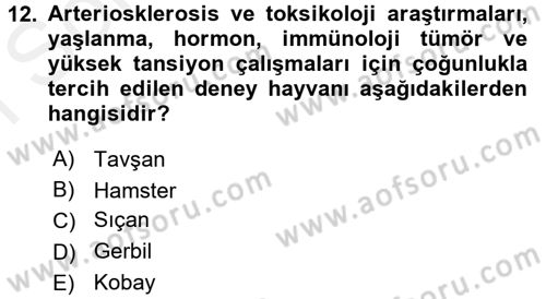 Laboratuvar Hayvanlarını Yetiştirme ve Sağlığı Dersi 2017 - 2018 Yılı (Final) Dönem Sonu Sınav Soruları 12. Soru