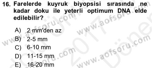 Laboratuvar Hayvanlarını Yetiştirme ve Sağlığı Dersi 2017 - 2018 Yılı (Final) Dönem Sonu Sınav Soruları 16. Soru