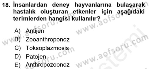 Laboratuvar Hayvanlarını Yetiştirme ve Sağlığı Dersi 2017 - 2018 Yılı (Final) Dönem Sonu Sınav Soruları 18. Soru