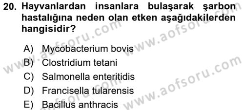 Laboratuvar Hayvanlarını Yetiştirme ve Sağlığı Dersi 2017 - 2018 Yılı (Final) Dönem Sonu Sınav Soruları 20. Soru