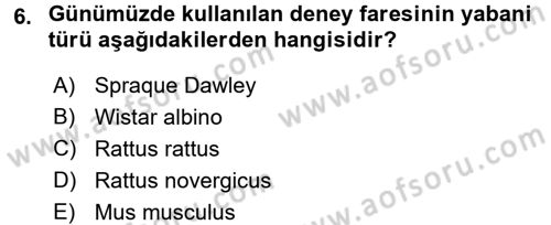 Laboratuvar Hayvanlarını Yetiştirme ve Sağlığı Dersi 2017 - 2018 Yılı (Final) Dönem Sonu Sınav Soruları 6. Soru