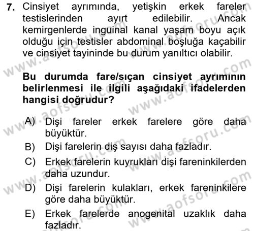 Laboratuvar Hayvanlarını Yetiştirme ve Sağlığı Dersi 2017 - 2018 Yılı (Final) Dönem Sonu Sınav Soruları 7. Soru