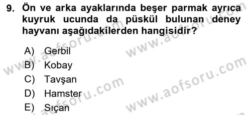 Laboratuvar Hayvanlarını Yetiştirme ve Sağlığı Dersi 2017 - 2018 Yılı (Final) Dönem Sonu Sınav Soruları 9. Soru
