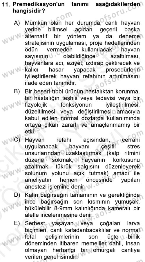 Laboratuvar Hayvanlarını Yetiştirme ve Sağlığı Dersi 2018 - 2019 Yılı (Vize) Ara Sınavı 11. Soru