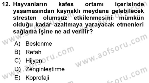 Laboratuvar Hayvanlarını Yetiştirme ve Sağlığı Dersi 2018 - 2019 Yılı (Vize) Ara Sınavı 12. Soru