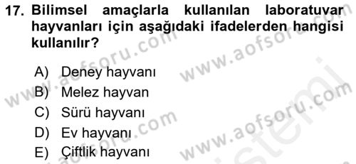 Laboratuvar Hayvanlarını Yetiştirme ve Sağlığı Dersi 2018 - 2019 Yılı (Vize) Ara Sınavı 17. Soru