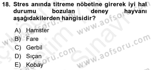 Laboratuvar Hayvanlarını Yetiştirme ve Sağlığı Dersi 2018 - 2019 Yılı (Vize) Ara Sınavı 18. Soru