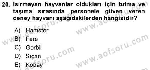 Laboratuvar Hayvanlarını Yetiştirme ve Sağlığı Dersi 2018 - 2019 Yılı (Vize) Ara Sınavı 20. Soru